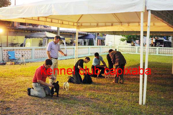 Clique sobre a foto para fechar